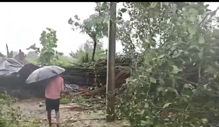 लक्ष्मीपुर द्वितीय में झोपड़ी पर पेड़ गिरने से तीन की मौत, एक गंभीर